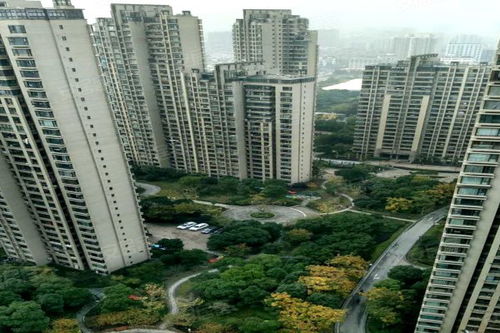 上海灘大寧城 公寓住宅 優(yōu)點(diǎn) 不足,上海灘大寧城 公寓住宅 怎么樣,上海灘大寧城 公寓住宅 周邊房產(chǎn)中介經(jīng)紀(jì)人評價